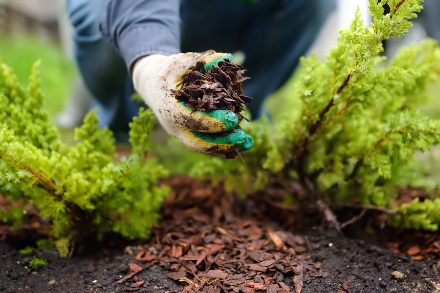 Common Mulching Mistakes Landscapers Should Avoid in Chester, VA