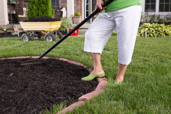 Excellent Mulching Chester, VA