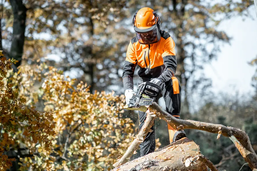 How Tree Cutting Services Improve Landscape Safety Chester, VA