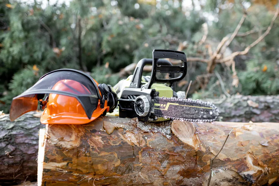 Key Reasons To Hire A Professional Tree Cutting Service Chester, VA