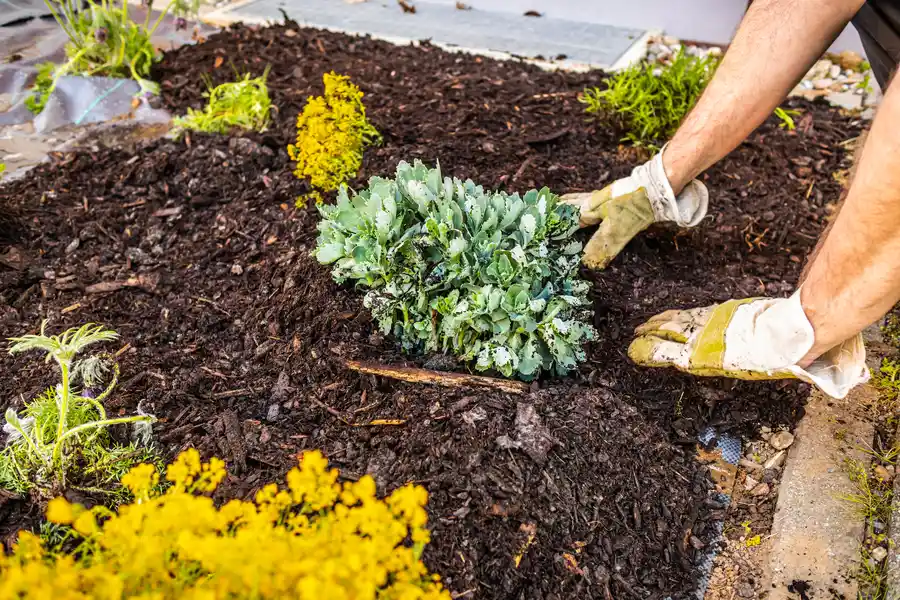 Professional Mulching Chester, VA