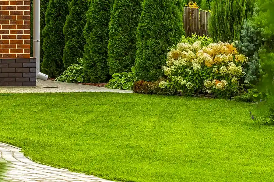 Reliable Lawn Care Service Chester, VA