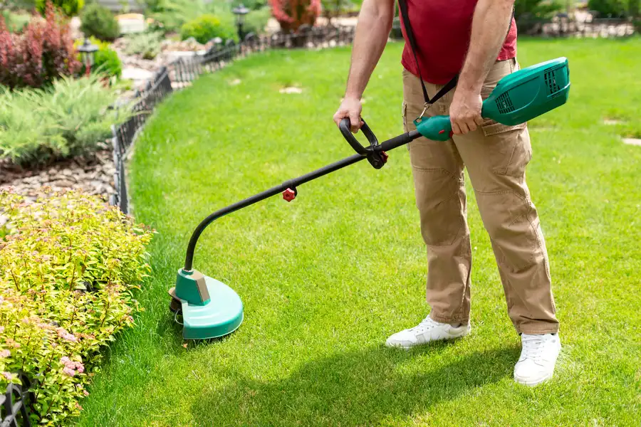 Reputable Lawn Care Service Chester, VA